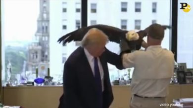 Donald Trump “beccato” dall’aquila