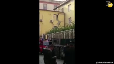 Napoli: crolla la facoltà di veterinaria