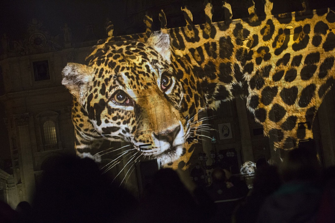 Giubileo: Fiat Lux, lo spettacolo della natura sulla basilica di San Pietro