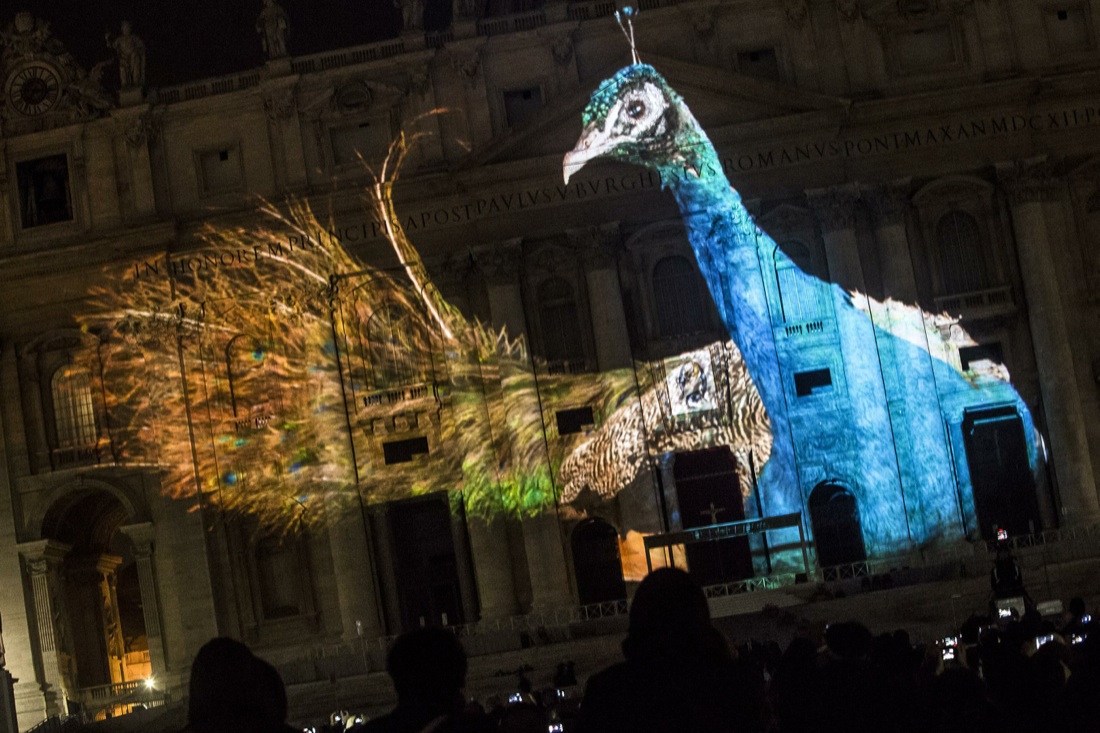 Giubileo: Fiat Lux, lo spettacolo della natura sulla basilica di San Pietro