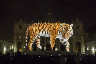 Giubileo: Fiat Lux, lo spettacolo della natura sulla basilica di San Pietro