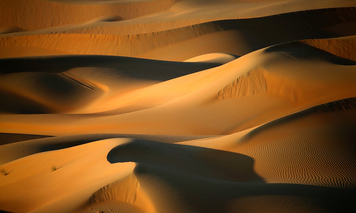 Le foto più belle della settimana – 28 novembre/4 dicembre