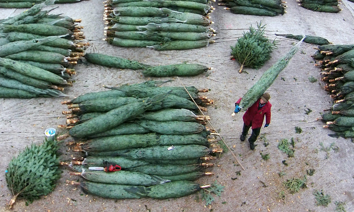 Le foto più belle della settimana – 28 novembre/4 dicembre