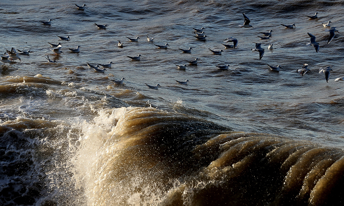 Le foto più belle della settimana – 28 novembre/4 dicembre