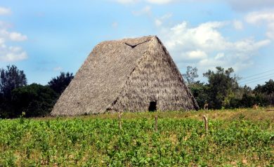 Cuba. Where are you going?