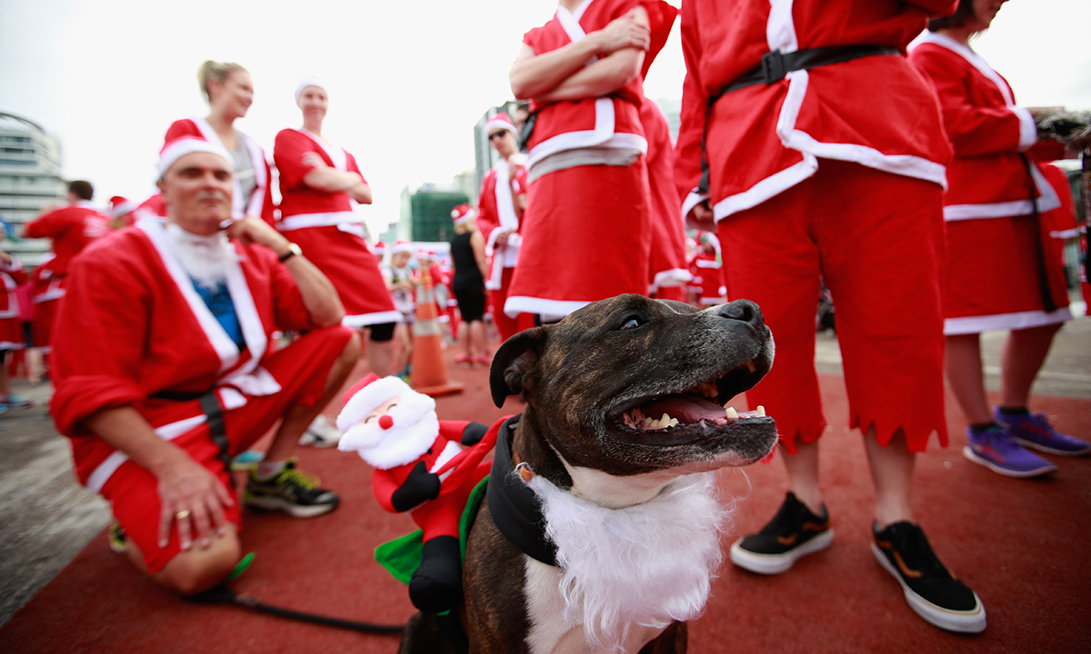 La corsa dei Babbi Natale in Nuova Zelanda