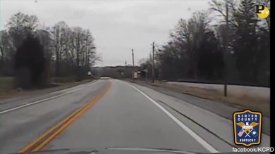 Kentucky: auto della polizia investe cervo