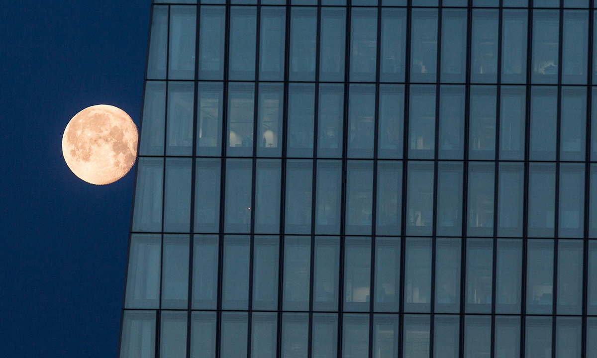 Le foto più belle della settimana – 23/29 gennaio