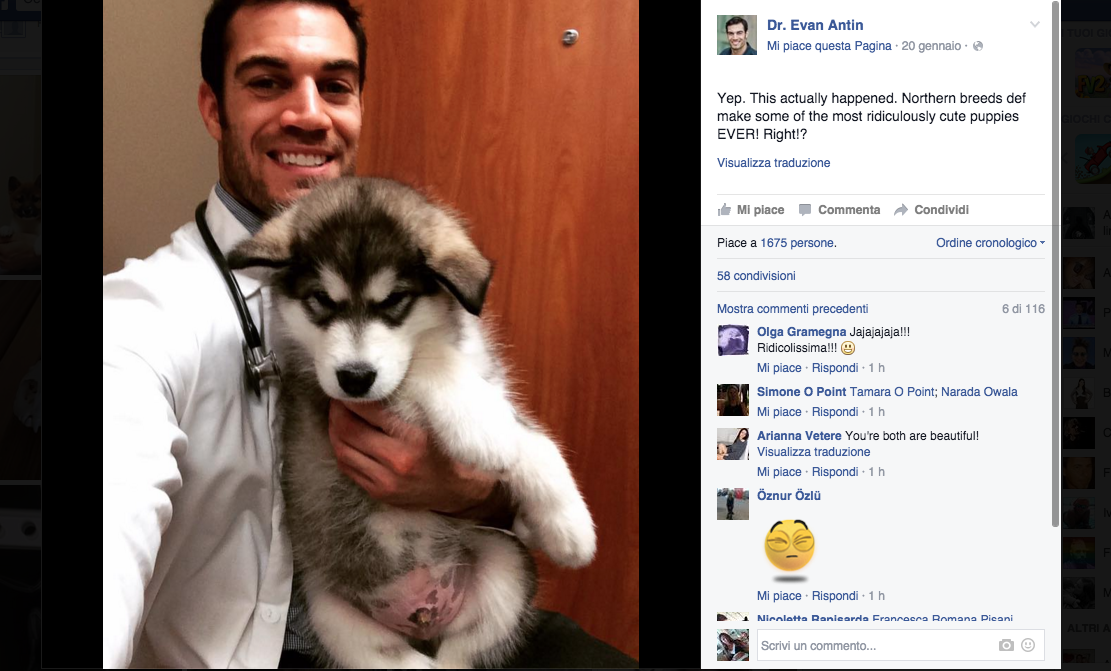 Viene dalla California il veterinario più sexy del mondo Viene dalla California il veterinario più sexy del mondo