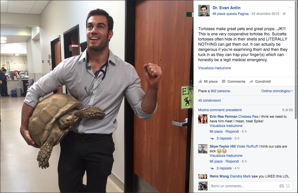 Viene dalla California il veterinario più sexy del mondo Viene dalla California il veterinario più sexy del mondo