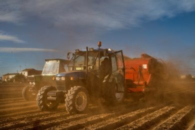 Italy, the importance of innovation for agriculture