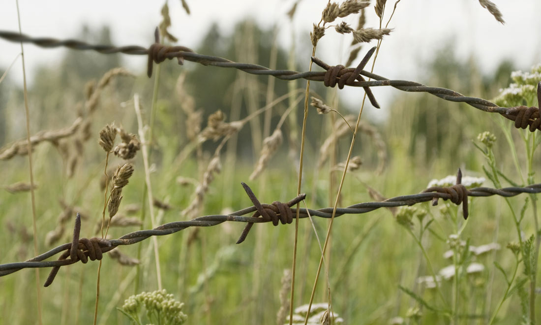 Giorno della Memoria: 5 libri contro il razzismo Giorno della Memoria: 5 libri contro il razzismo