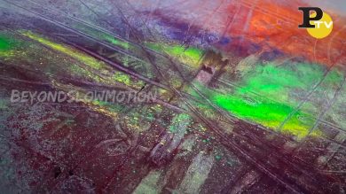 Skateboard in Slowmotion: un’Esplosione di Polvere di Colore