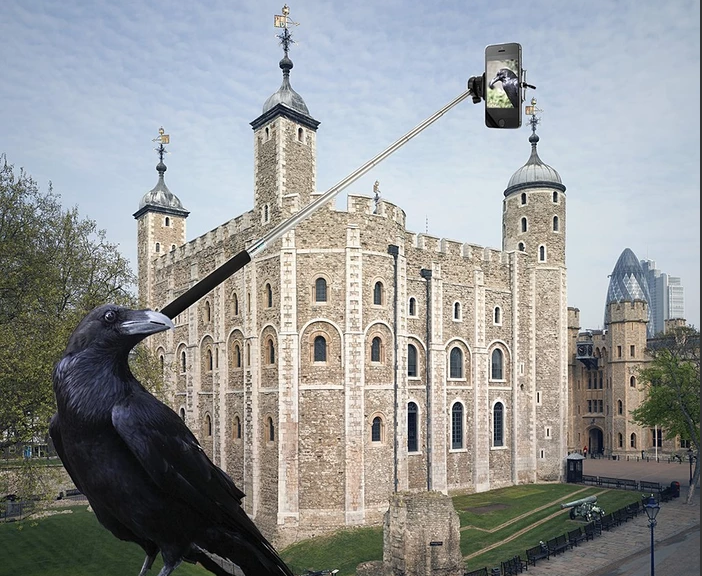 #MuseumSelfie, quando gli autoscatti diventano opere d’arte