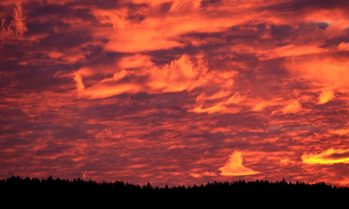 Le foto più belle della settimana – 16/22 gennaio