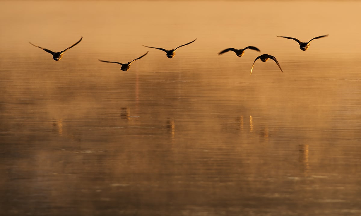 Le foto più belle della settimana – 16/22 gennaio