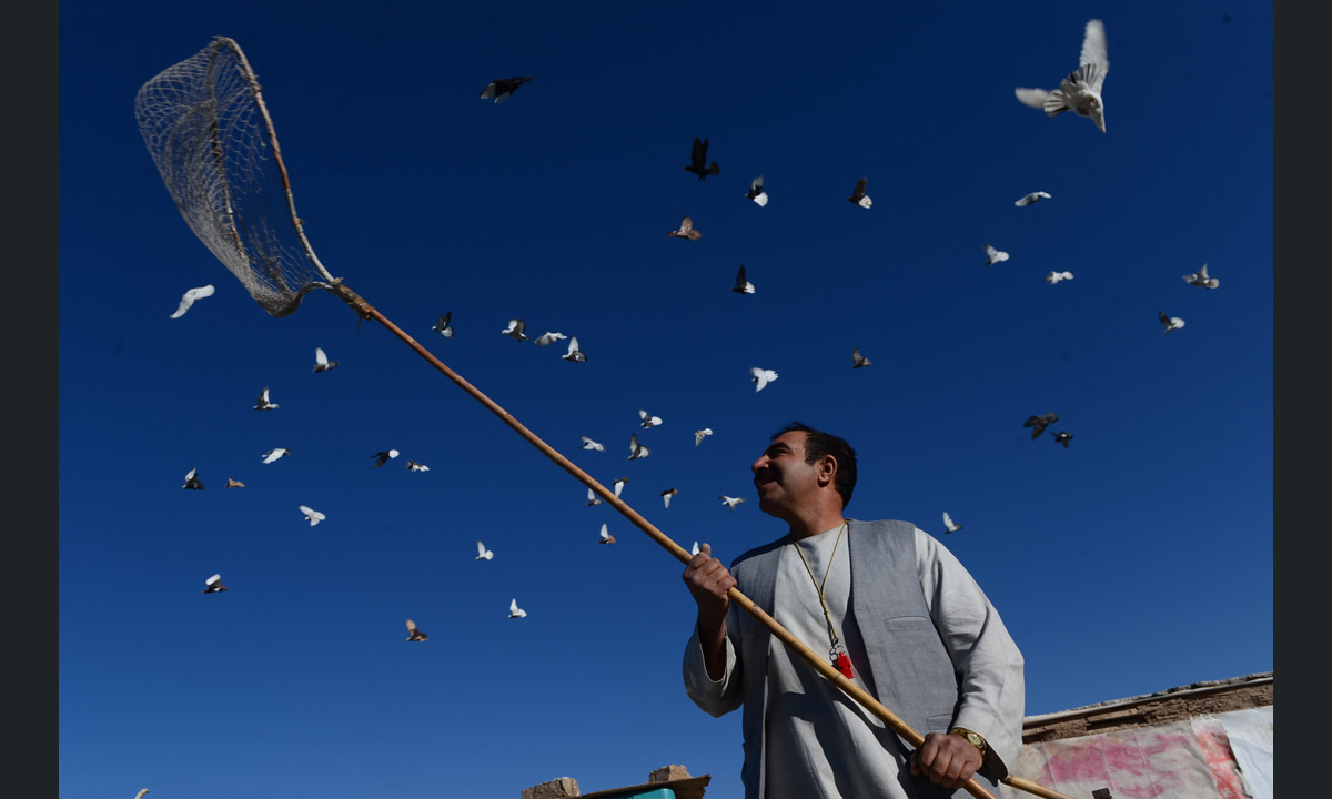 Le foto più belle della settimana – 16/22 gennaio