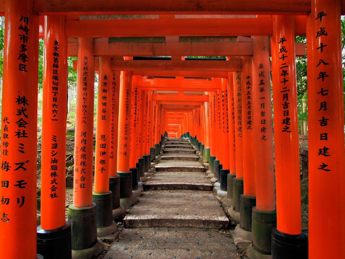 Galleria foto 'Viaggi, i nove paradisi  silenziosi' - foto 2