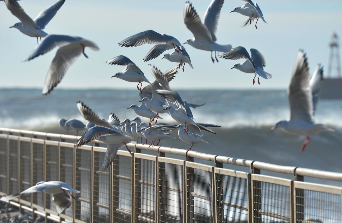 Maltempo: neve e gelo sull’Italia – Foto e Video