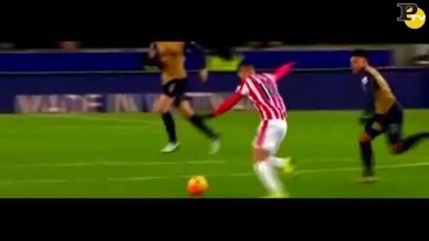 La pallonata di Afellay contro la testa dello steward
