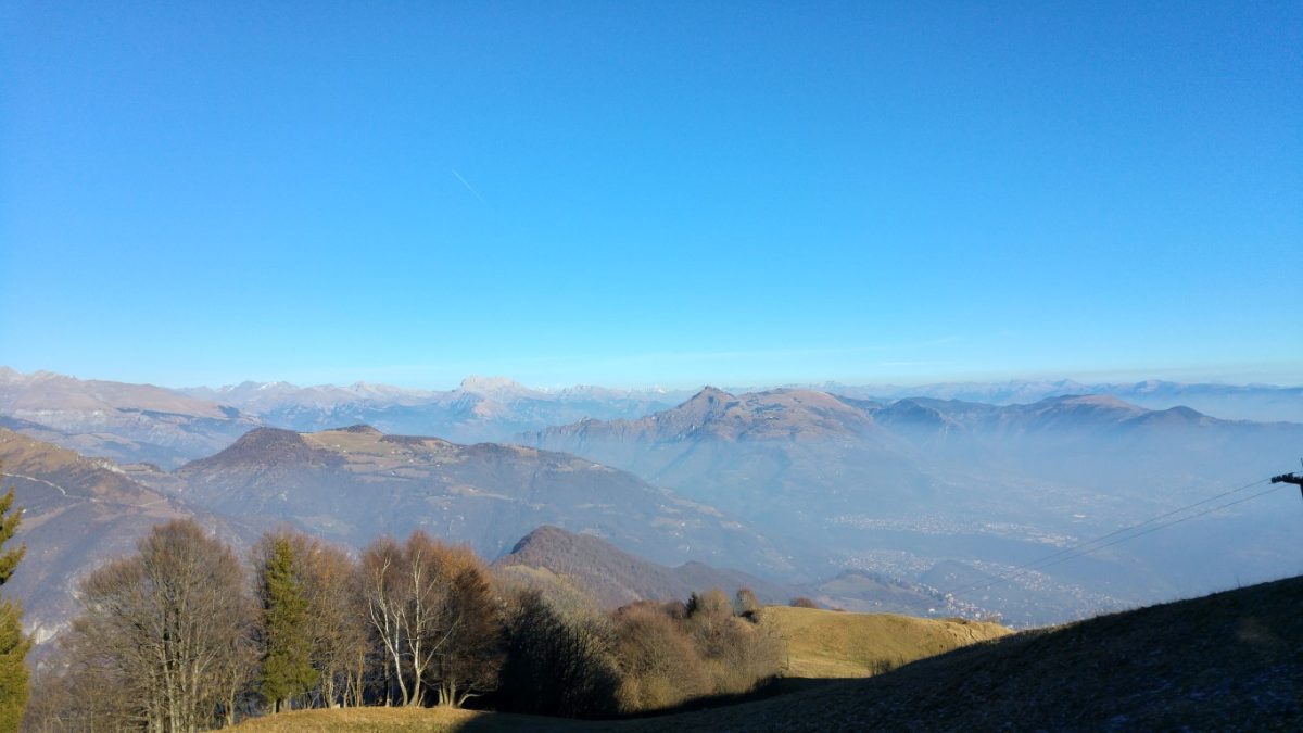 Galleria foto 'I migliori smartphone del momento: fotocamere a confronto' - foto 65