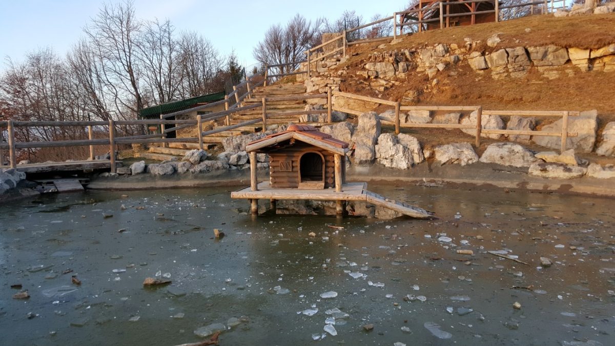 Galleria foto 'I migliori smartphone del momento: fotocamere a confronto' - foto 99