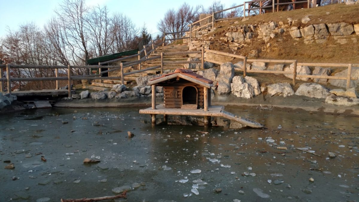 Galleria foto 'I migliori smartphone del momento: fotocamere a confronto' - foto 100