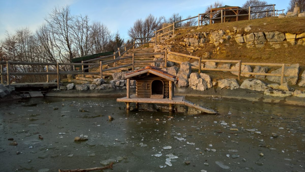 Galleria foto 'I migliori smartphone del momento: fotocamere a confronto' - foto 101