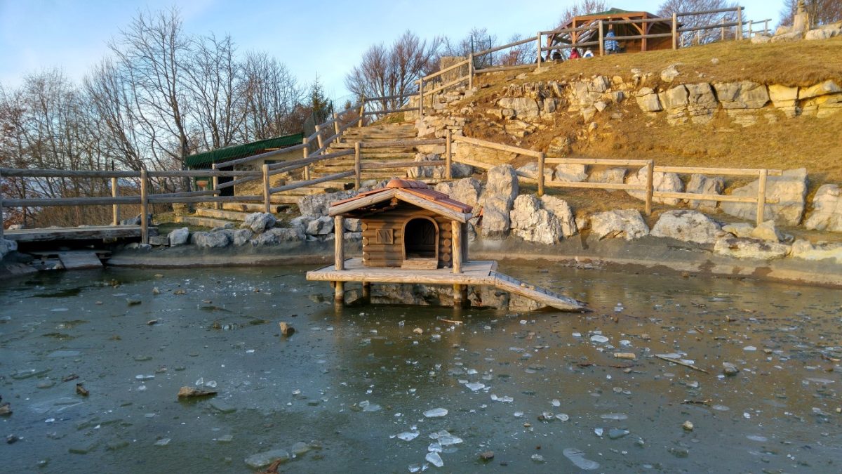 Galleria foto 'I migliori smartphone del momento: fotocamere a confronto' - foto 102