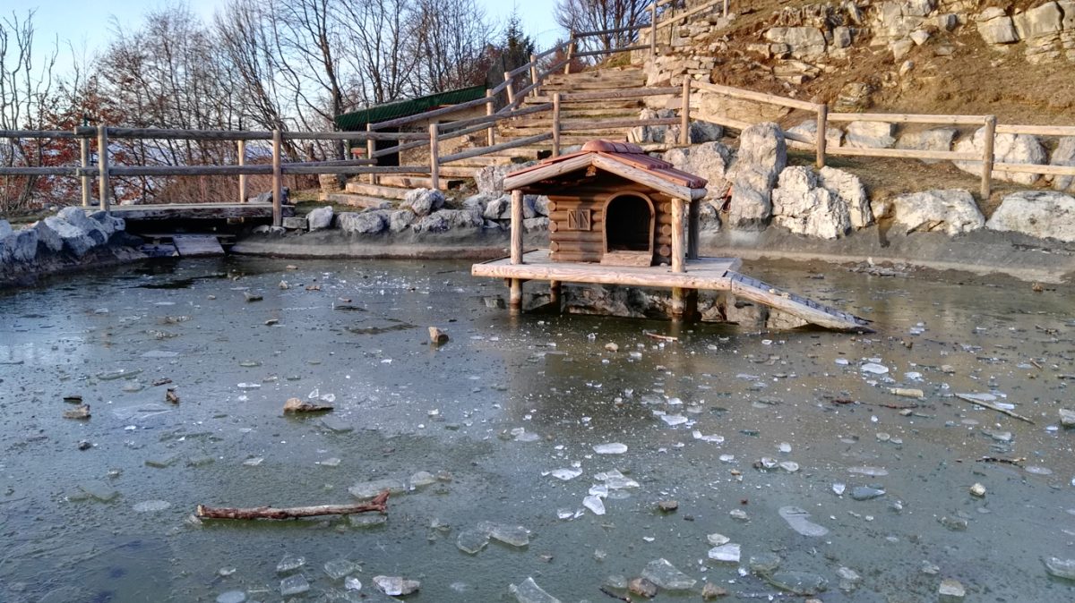 Galleria foto 'I migliori smartphone del momento: fotocamere a confronto' - foto 104