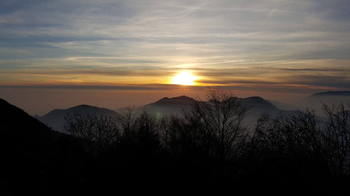 Galleria foto 'I migliori smartphone del momento: fotocamere a confronto' - foto 106