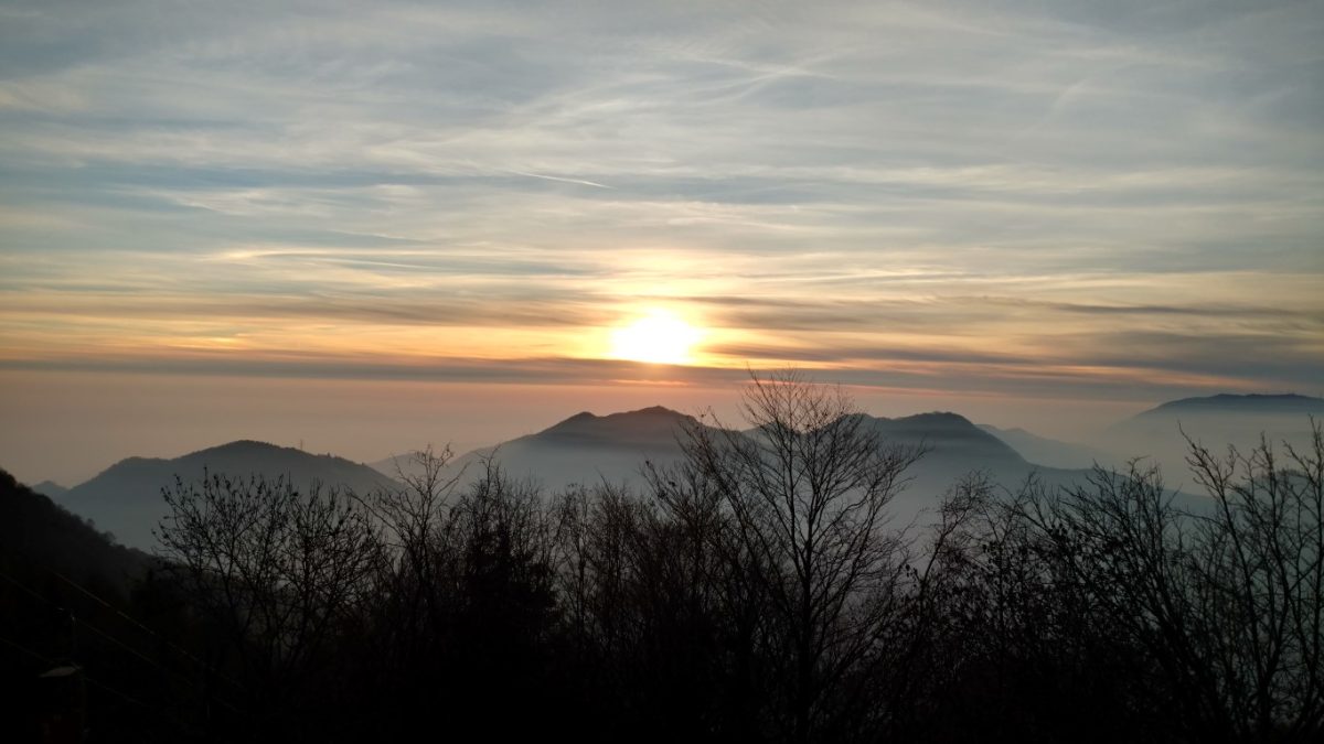 Galleria foto 'I migliori smartphone del momento: fotocamere a confronto' - foto 107