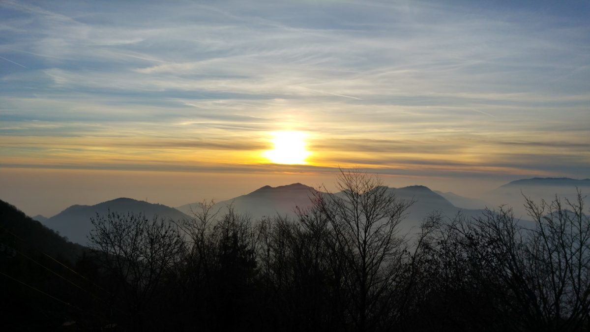 Galleria foto 'I migliori smartphone del momento: fotocamere a confronto' - foto 95