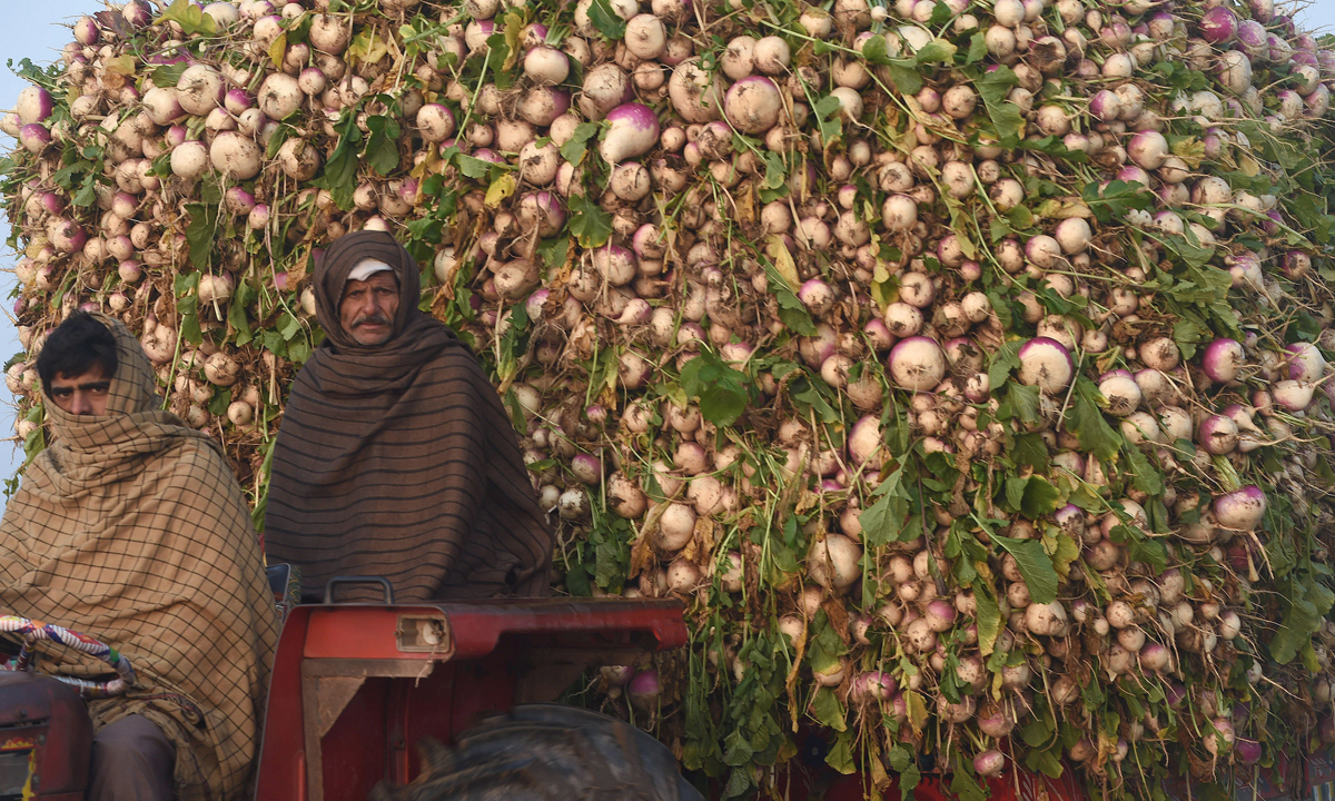 Le foto più belle della settimana – 9/15 gennaio