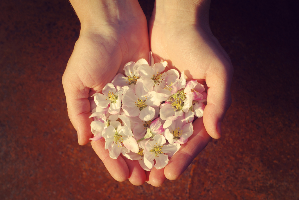 Sviluppo sostenibile per una qualità superiore Sviluppo sostenibile per una qualità superiore