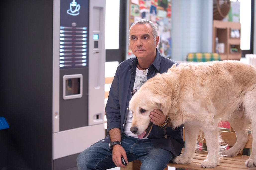 Tutti insieme all’improvviso: la nuova fiction con Giorgio Panariello Tutti insieme all’improvviso: la nuova fiction con Giorgio Panariello