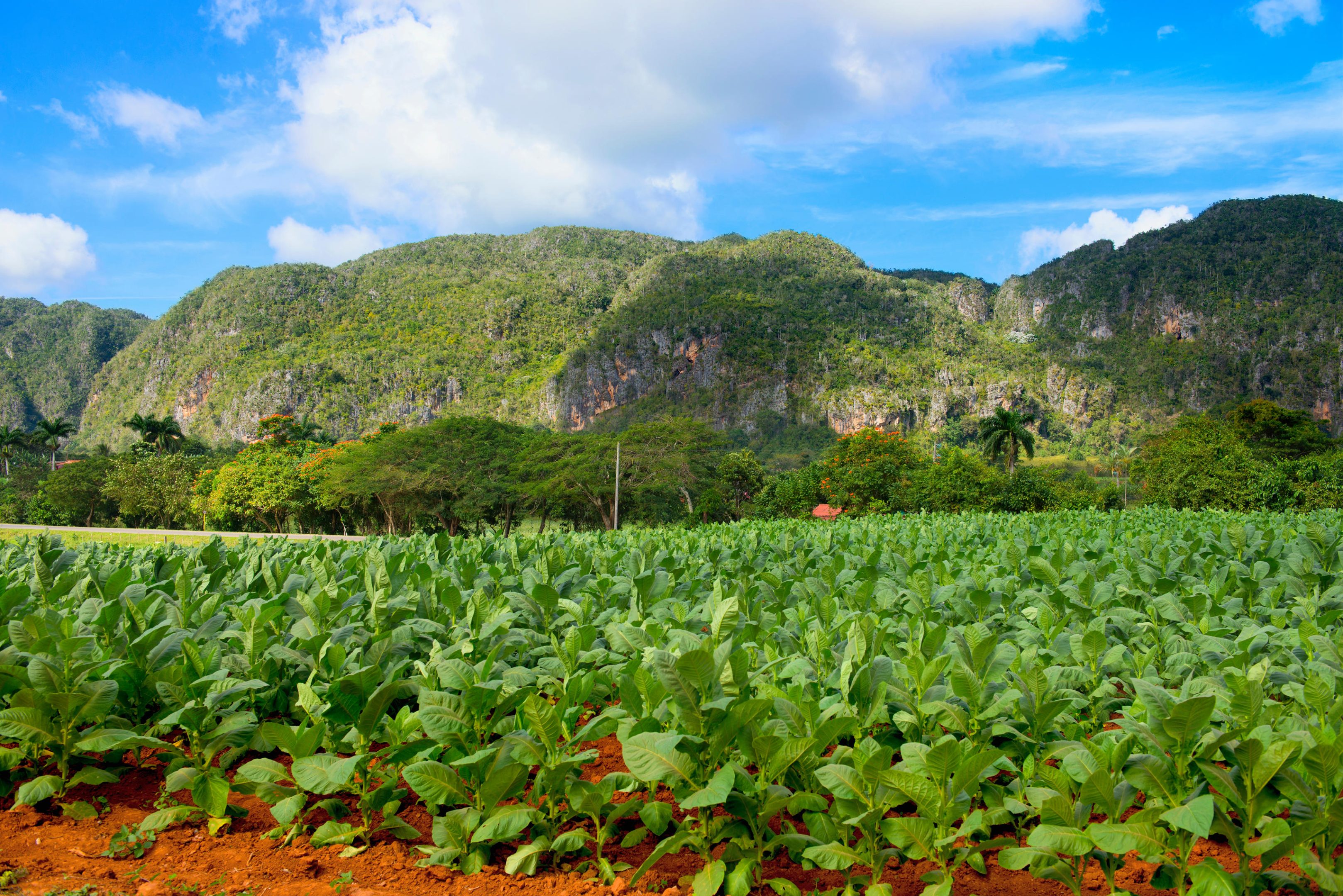 52 luoghi da vedere nel 2016 (c’è anche Torino) 52 luoghi da vedere nel 2016 (c’è anche Torino)