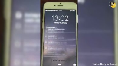 Twitter: le notifiche “pazze” di Demy de Zeeuw