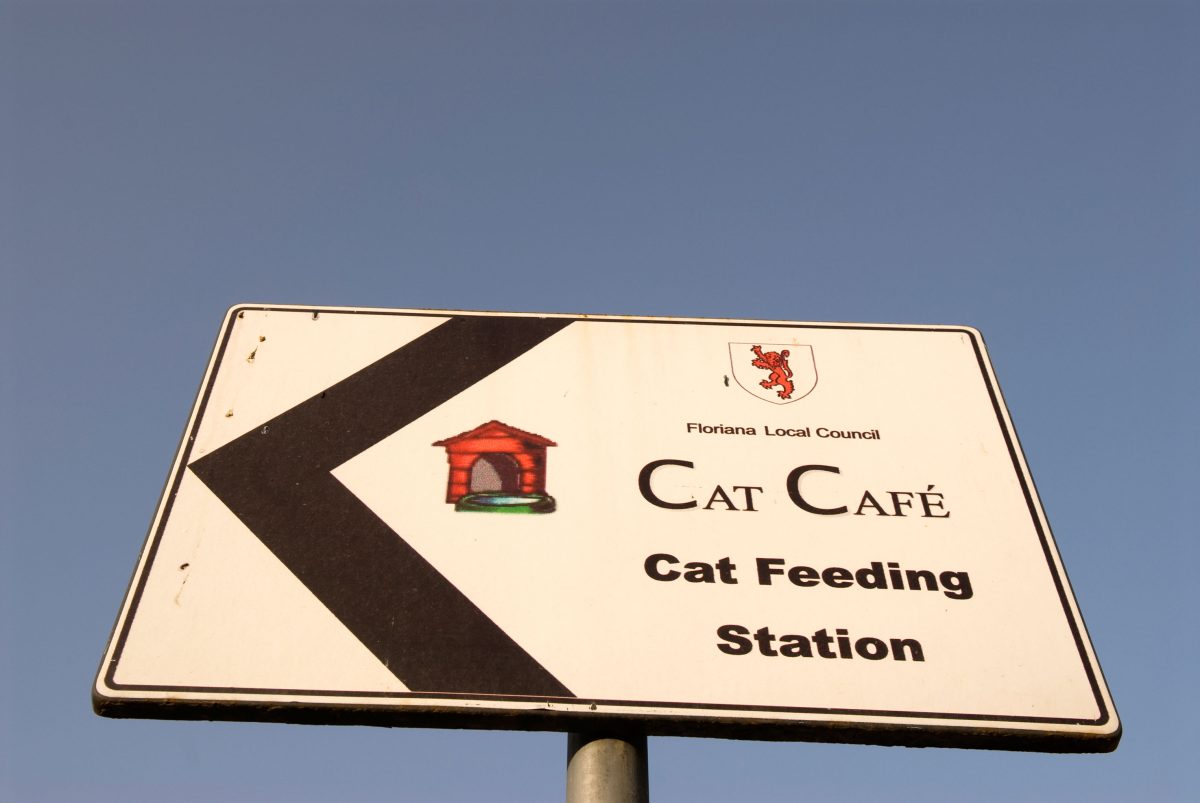 Galleria foto '2016, l’anno dei “climatarian”' - foto 8