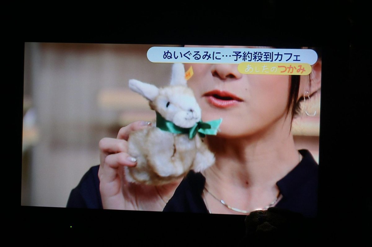 Galleria foto 'Il bar per soli peluche (vietato agli umani)' - foto 7