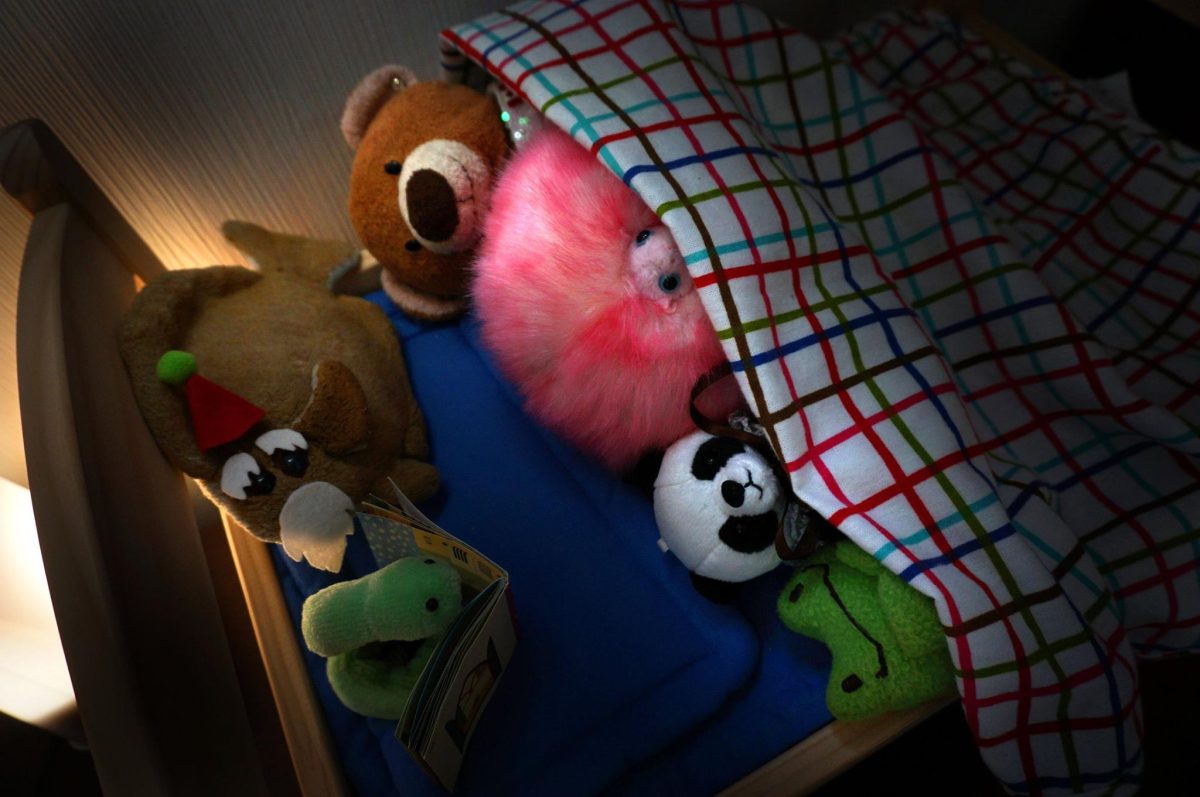 Galleria foto 'Il bar per soli peluche (vietato agli umani)' - foto 4