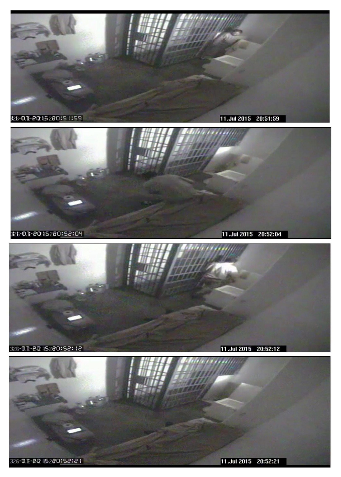 Sean Penn indagato per l’incontro con il superlatitante El Chapo – Video