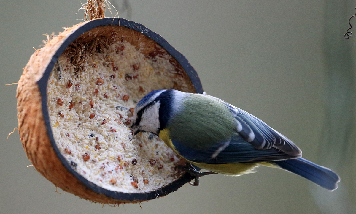 Le foto più belle della settimana – 1/8 gennaio