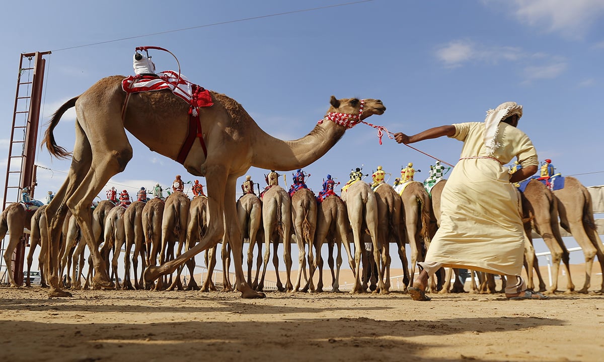 Le foto più belle della settimana – 1/8 gennaio