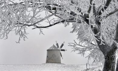 Le foto più belle della settimana – 1/8 gennaio