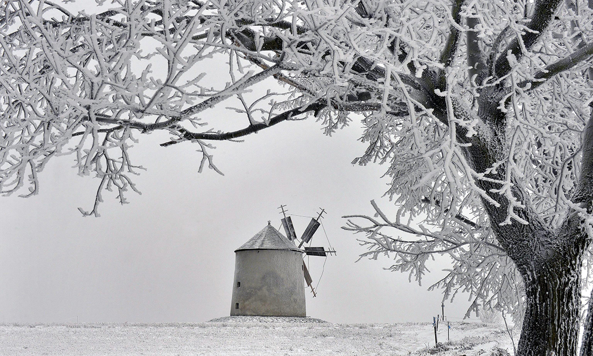 Le foto più belle della settimana – 1/8 gennaio