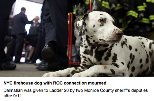 Addio a Twenty, mascotte dei vigili del fuoco delle Torri Gemelle