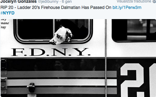 Addio a Twenty, mascotte dei vigili del fuoco delle Torri Gemelle