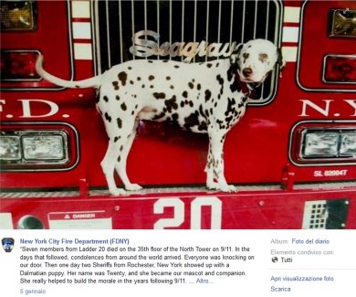 Addio a Twenty, mascotte dei vigili del fuoco delle Torri Gemelle