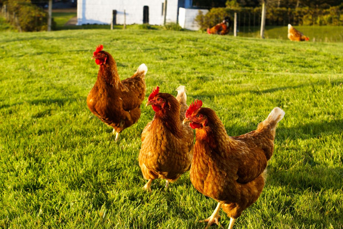 Galleria foto '2017, le 5 vacanze davvero originali' - foto 7